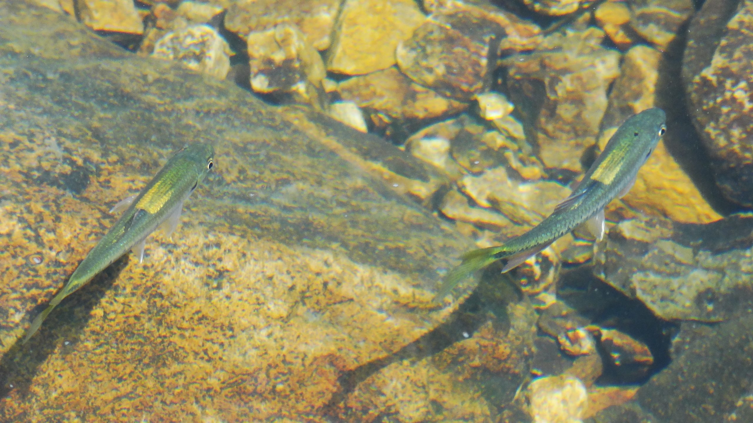 大浪灣 Tai Long Wan